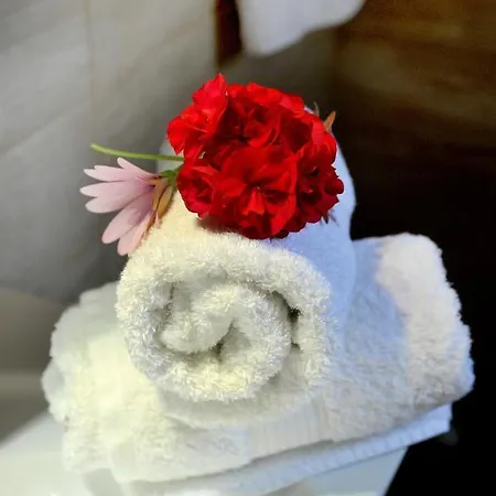 Casa Bianca Blue Gáiosz